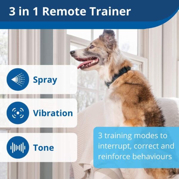 PetSafe Remote Spray Trainer with Water Resistant Training Collar for Dogs, 3-in-1 Stimulation - Spray, Tone and Vibration, 300 m Range, 2 Spray Cartridges, 3.6 kg - Image 3