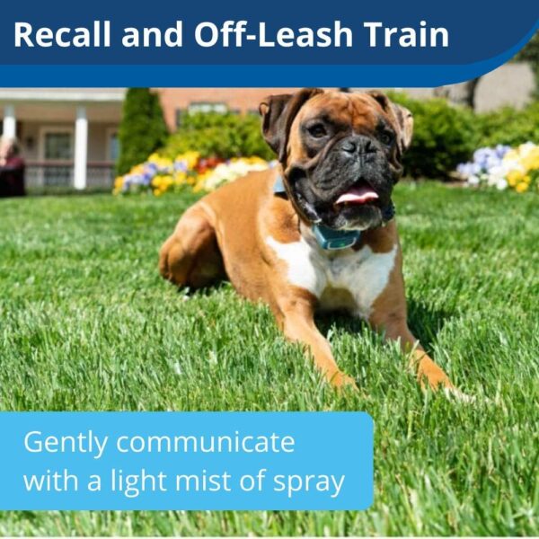 PetSafe Remote Spray Trainer with Water Resistant Training Collar for Dogs, 3-in-1 Stimulation - Spray, Tone and Vibration, 300 m Range, 2 Spray Cartridges, 3.6 kg - Image 6