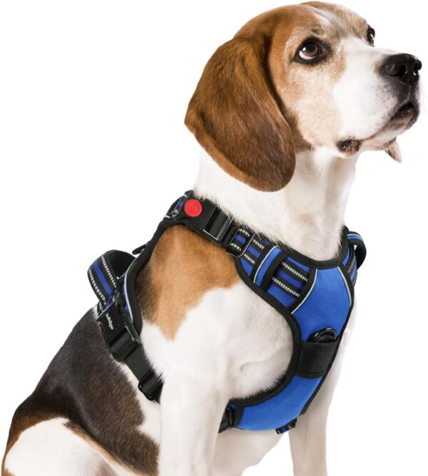 rabbitgoo Dog Harness Medium with Neck Release Buckle, Adjustable Anti Pull Dog Harness, Soft Padded with Front Back Clips and Easy Control Handle, Reflective Dog Vest Harness, Blue, M - Image 2