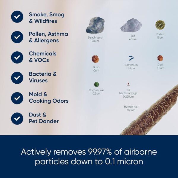 Blueair Blue Pure 511 Air Purifier With HEPASilent Combination Filter For Rooms Up To 38m² Removes 99.97% Particles Pollen, Dust, Mould, Bacteria, Viruses | Activated Carbon Reduces VOCs, Odours - Image 6