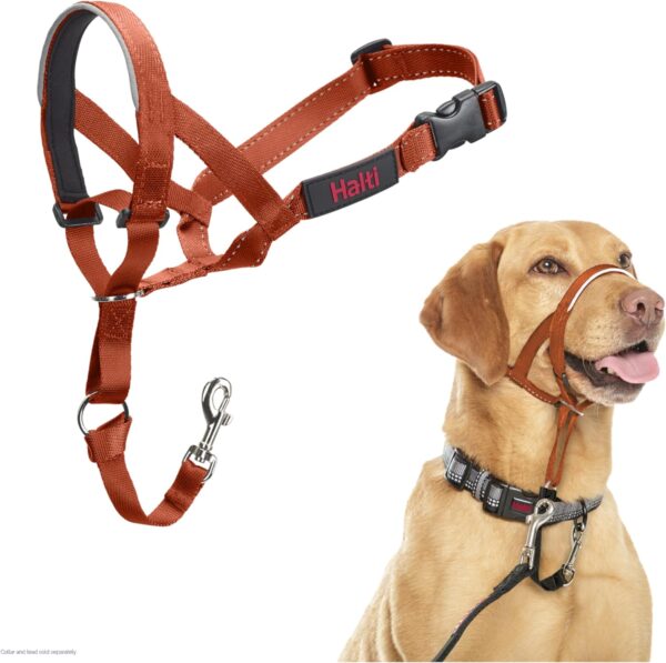 HALTI Headcollar - To Stop Your Dog Pulling on the Lead. Adjustable, Reflective and Lightweight, with Padded Nose Band. Dog Training Anti-Pull Collar for Medium Dogs (Size 3, Burnt Orange) - Image 2