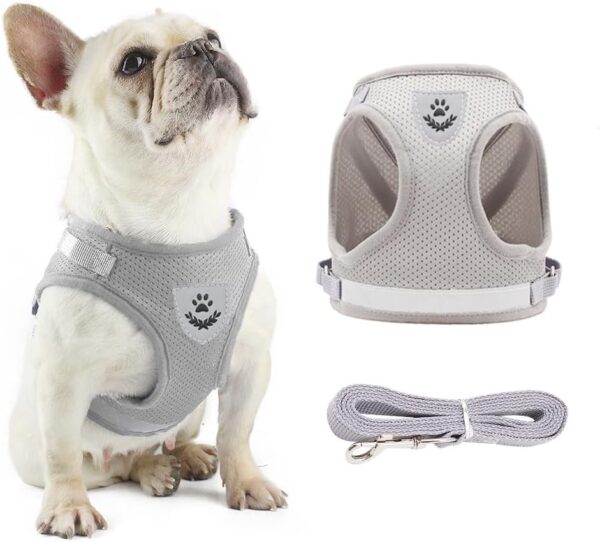 Anlitent Comfort No Pull Dog Vest Harness and Lead Set Escape Free, Breathable Dog Vest Service Harnesses for Puppy Seat Belt for Puppies Small Puppies Outdoor Easy Comtrol Large - Image 2