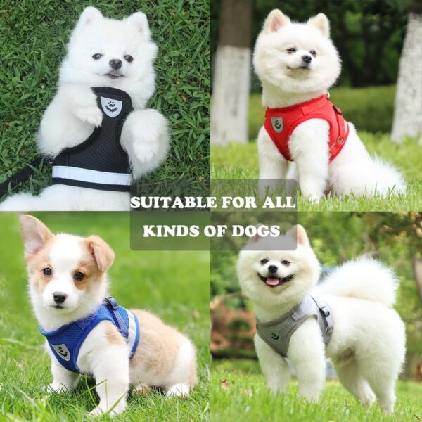 Anlitent Comfort No Pull Dog Vest Harness and Lead Set Escape Free, Breathable Dog Vest Service Harnesses for Puppy Seat Belt for Puppies Small Puppies Outdoor Easy Comtrol Large - Image 10