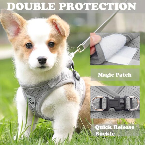 Anlitent Comfort No Pull Dog Vest Harness and Lead Set Escape Free, Breathable Dog Vest Service Harnesses for Puppy Seat Belt for Puppies Small Puppies Outdoor Easy Comtrol Large - Image 4