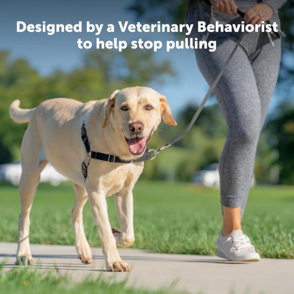 PetSafe Easy Walk No-Pull Dog Harness - The Ultimate Harness to Help Stop Pulling - Take Control & Teach Better Leash Manners - Helps Prevent Pets Pulling on Walks - Medium, Charcoal/Black - Image 3