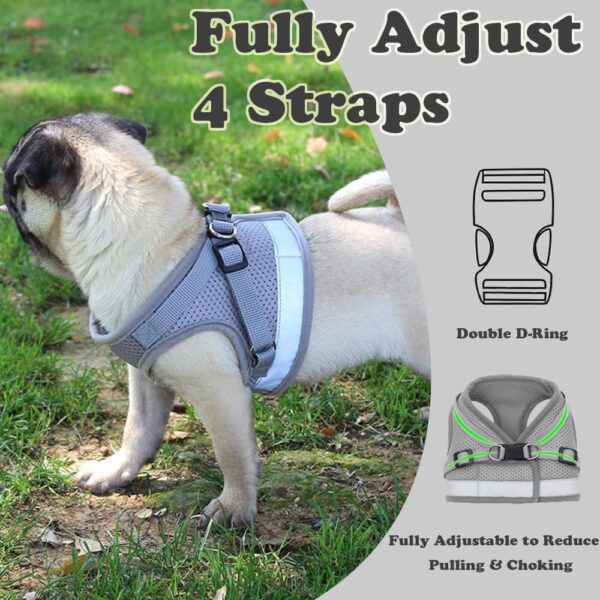 Anlitent Comfort No Pull Dog Vest Harness and Lead Set Escape Free, Breathable Dog Vest Service Harnesses for Puppy Seat Belt for Puppies Small Puppies Outdoor Easy Comtrol Large - Image 5