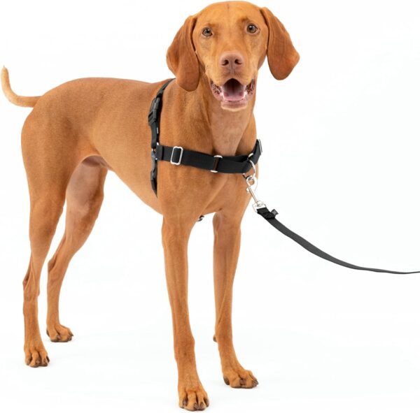 PetSafe Easy Walk No-Pull Dog Harness - The Ultimate Harness to Help Stop Pulling - Take Control & Teach Better Leash Manners - Helps Prevent Pets Pulling on Walks - Medium, Charcoal/Black - Image 2