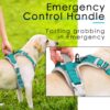 ThinkPet No Pull Harness Breathable Sport Harness with Handle-Dog Harnesses Reflective Adjustable for Medium Large Dogs,Back/Front Clip for Easy Control L Bright Teal - Image 5