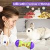 HZAKXIN 2Pcs Rabbit Treat Ball Interactive Bunny Toys Food Dispensing Guinea Pig Toys Slow Feeder for Rabbits, Guinea Pigs, Reptile - Image 7