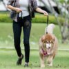 FuninCrea Dog Treat Pouch Bag, Dog Treat Bag with Built-in Poop Bag Dispenser Dog Training Treat Pouch for Walking Oxford Cloth Dog Training Bag for Travel Outdoor Training (Green) - Image 7