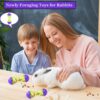 HZAKXIN 2Pcs Rabbit Treat Ball Interactive Bunny Toys Food Dispensing Guinea Pig Toys Slow Feeder for Rabbits, Guinea Pigs, Reptile - Image 5