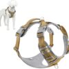 Plutus Pet No Pull Dog Harness, Release At Neck, Reflective Adjustable Dog Vest Harness, Easy Control Handle for Walking, for Small Medium Large Dogs, Khaki, M - Image 2
