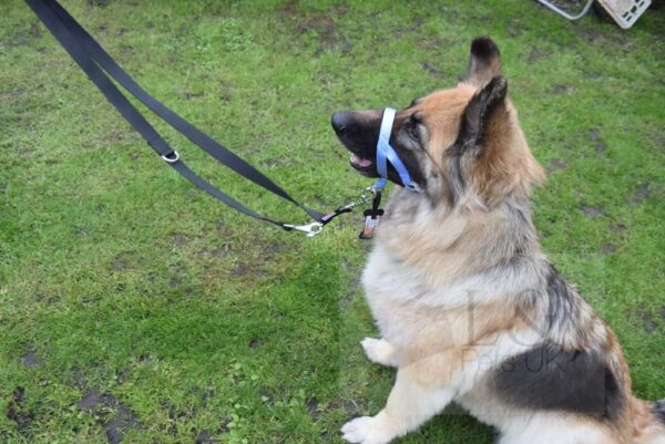 Headcollar Dog Halter/Training Head Collar Training Tool Dog, Head Harness to Stop Pulling on the Lead, Easy to Use, Padded Nose Band, Adjustable (1, Pink) - Image 4