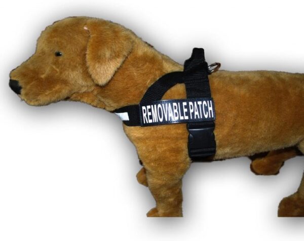Deaf Dog Nylon Strap Service Dog Harness No Pull Guide Assistance Comes with 2 Reflective Deaf Dog Removable Patches. Please Measure Your Dog Before Ordering. - Image 5