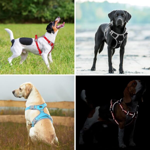 Plutus Pet No Pull Dog Harness, Release At Neck, Reflective Adjustable Dog Vest Harness, Easy Control Handle for Walking, for Small Medium Large Dogs, Black, M - Image 7