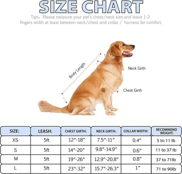 No Pull Dog Harness Breathable Adjustable Comfort, Free Lead Included,with Strong Handle Front Clip Harness, Outdoor Easy Control for Medium Small Dogs (M, BLUE) - Image 4