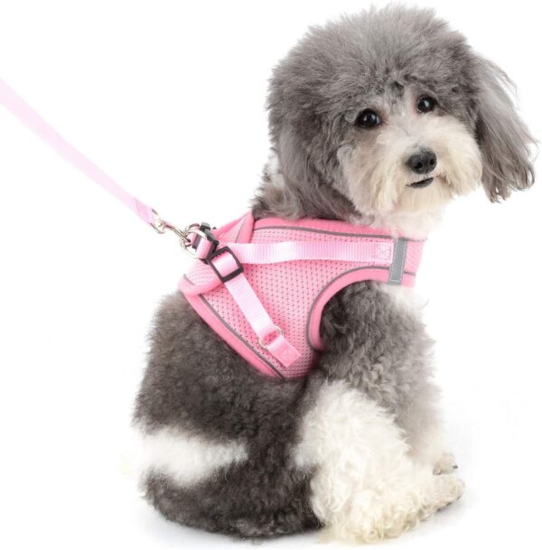 Zunea Small Dog Harness and Lead Set No Pull Puppy Vest Harnesses Adjustable Reflective Soft Mesh Step-in Pet Cat Harness Escape Proof for Walking, Bright Colors for Dogs Girl Boy Pink S - Image 3