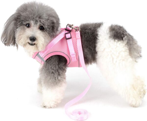 Zunea Small Dog Harness and Lead Set No Pull Puppy Vest Harnesses Adjustable Reflective Soft Mesh Step-in Pet Cat Harness Escape Proof for Walking, Bright Colors for Dogs Girl Boy Pink S - Image 6