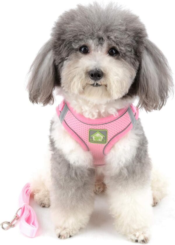 Zunea Small Dog Harness and Lead Set No Pull Puppy Vest Harnesses Adjustable Reflective Soft Mesh Step-in Pet Cat Harness Escape Proof for Walking, Bright Colors for Dogs Girl Boy Pink S - Image 10
