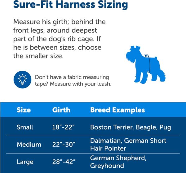 PetSafe Sure-Fit Harness – Five Point Adjustable Dog Harness – from The Makers of The Easy Walk Harness – Small, Red - Image 7
