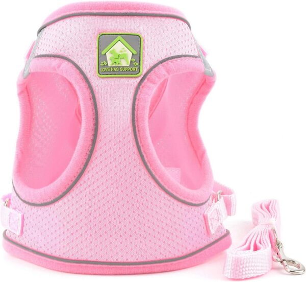 Zunea Small Dog Harness and Lead Set No Pull Puppy Vest Harnesses Adjustable Reflective Soft Mesh Step-in Pet Cat Harness Escape Proof for Walking, Bright Colors for Dogs Girl Boy Pink S - Image 4