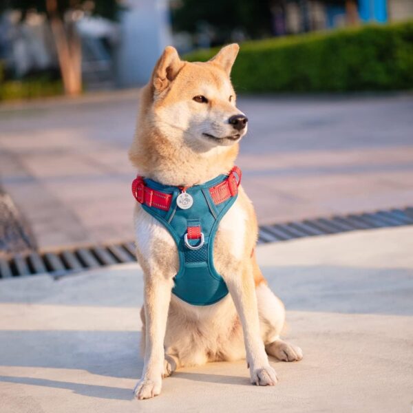 PHOEPET No Pull Dog Harness, Unique Colors Reflective Adjustable Dog Vest, with Soft Training Handle Metal Clips for Small Medium Large Dogs (Teal Base & Red Straps,L) - Image 8