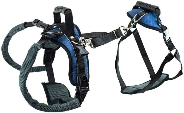 PetSafe CareLift Support Harness - Full-Body Lifting Aid with Handle - Great for Pet Mobility and Older Dogs - Comfortable, Breathable Material, Easy to Adjust, Black-Blue Large - Image 4
