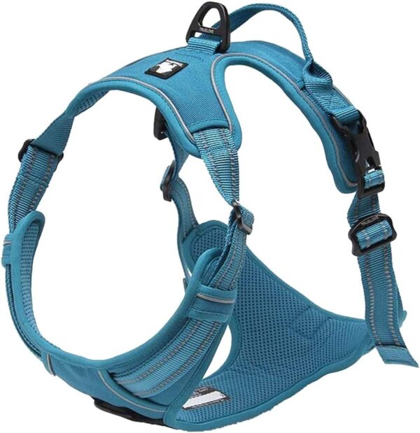 TrueLove Dog Harness TLH5651 No-pull Reflective Stitching Ensure Night Visibility, Outdoor Adventure Big Dog Harness Perfect Match Puppy Vest (Blue,S) - Image 2
