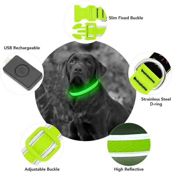 YFbrite Light up Dog Collar, Rechargeable LED Dog Collar, Flashing Dog Collar, Adjustable Reflective Dog Collar Safety Glowing at night (Green, Medium) - Image 6