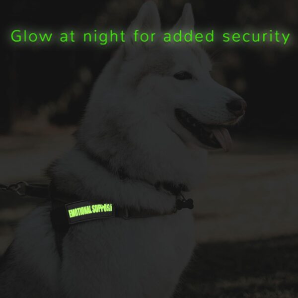 Tabanzhe Service Dog Vest Patches-6PCS Luminous Removable Dog Harness Patches with Hook Tactical Training Dog Reflective Tags Assistance Dog Vest Patches - Image 4