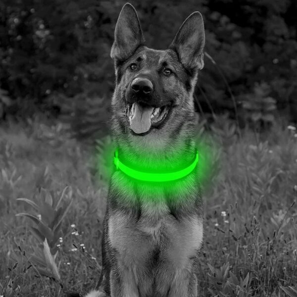 YFbrite Light up Dog Collar, Rechargeable LED Dog Collar, Flashing Dog Collar, Adjustable Reflective Dog Collar Safety Glowing at night (Green, Medium) - Image 9