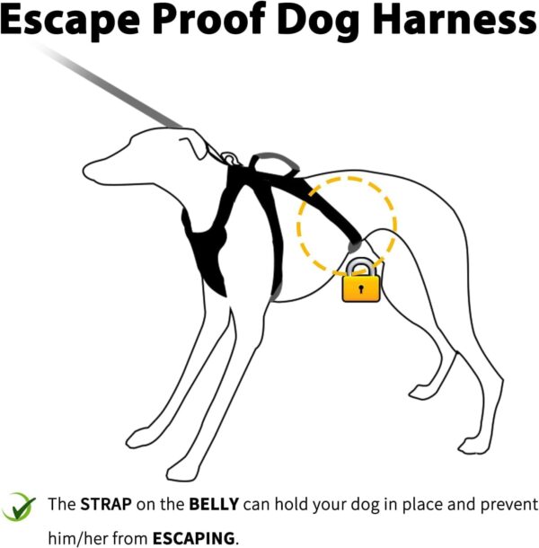 Huntboo Escape Proof Dog Harness, No Pull Reflective Harness with Lift Handle, Adjustable Pet Vest with Front and Back Leash Clips for Small Medium Large Dogs Walking Hiking Training (Black,L) - Image 4