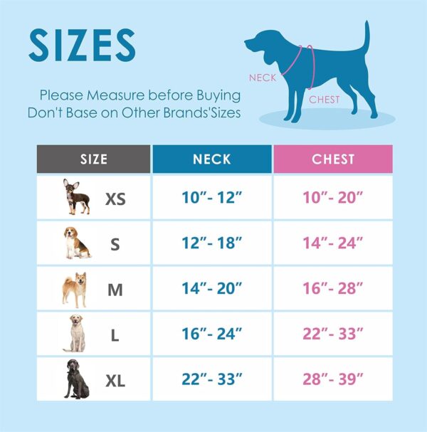 PHOEPET No Pull Dog Harness, Unique Colors Reflective Adjustable Dog Vest, with Soft Training Handle Metal Clips for Small Medium Large Dogs (Teal Base & Red Straps,L) - Image 7