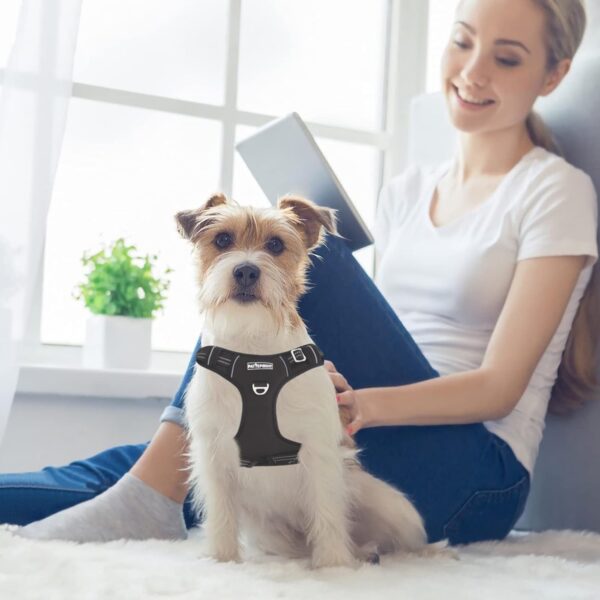 Pattepoint Dog Harness for Easy Walking, Adjustable Breathable Comfort Durable Pet Vest with Handle, No Pull Padded Escape Proof Reflective Dog Harness for Medium and Large Dogs Black - M - Image 9