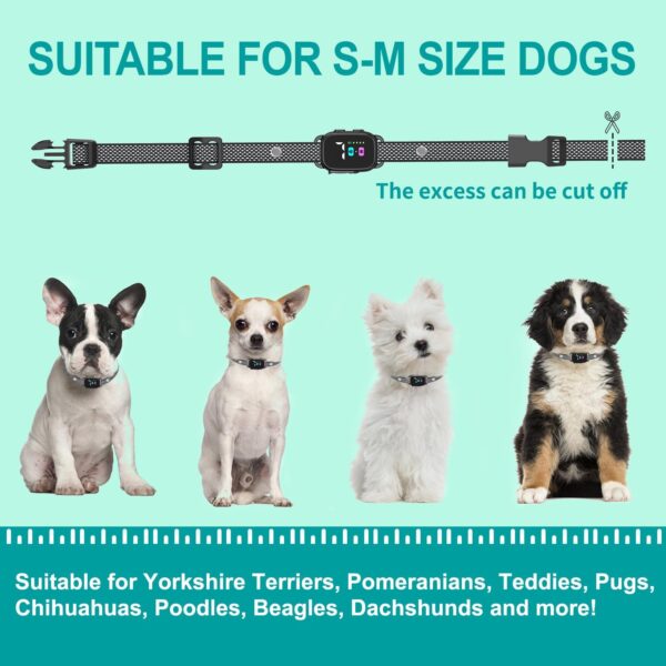 RICIVI Anti-Bark Collar for Small Dogs, No Shock Anti Barking Collars with 7 Sensitivities, 3 Adjustable Modes Beep & Vibration, IP67 Waterproof - Effective & Humane Small Dogs Bark Collar, Dark Black - Image 3