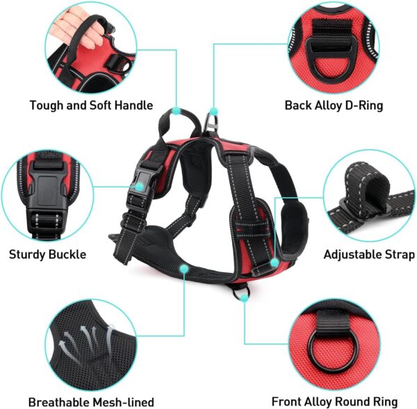 Joytale Dog Harness Small Dog No Pull Harness for Dogs with 2 Clips, Adjustable Soft Padded Dog Harness Reflective with Easy Control Handle for Walking and Training, Red, S - Image 8