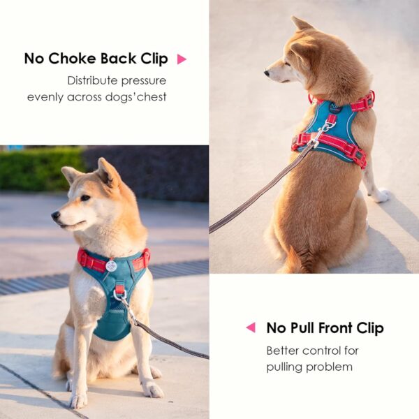 PHOEPET No Pull Dog Harness, Unique Colors Reflective Adjustable Dog Vest, with Soft Training Handle Metal Clips for Small Medium Large Dogs (Teal Base & Red Straps,L) - Image 4