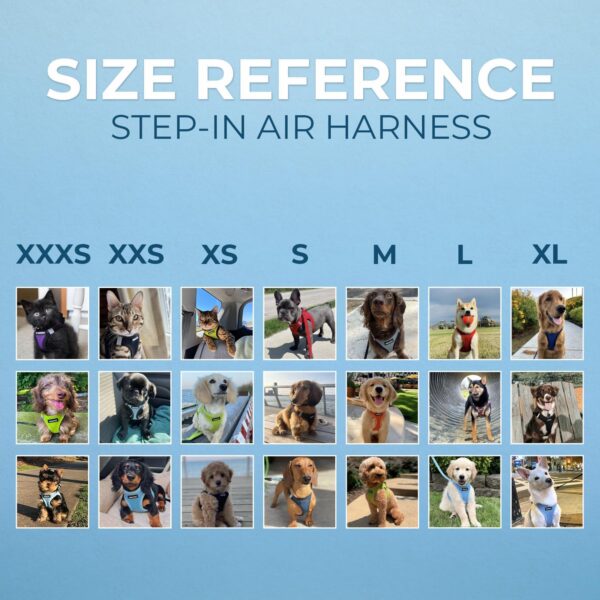 Best Pet Supplies Voyager Step-in Air All Weather Mesh Harness and Reflective Dog 5 ft Leash Combo with Neoprene Handle, for Small, Medium and Large Breed Puppies by - Leash Harness (Baby Blue), XS - Image 7