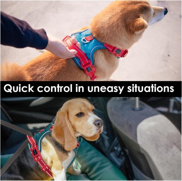 PHOEPET No Pull Dog Harness, Unique Colors Reflective Adjustable Dog Vest, with Soft Training Handle Metal Clips for Small Medium Large Dogs (Teal Base & Red Straps,L) - Image 5