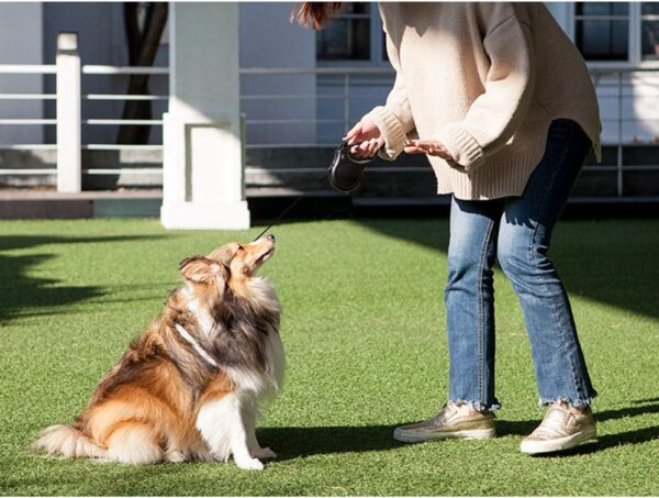 Fida Retractable Dog Lead, 5m Heavy Duty Pet Walking Leash for Medium/Large Dog up to 50kg, Tangle Free. One-Hand Brake (Large, Black) - Image 9