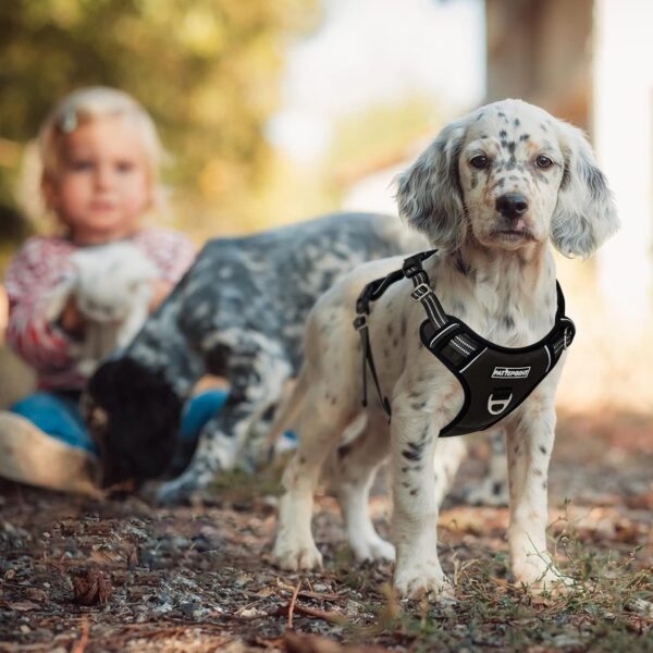 Pattepoint Dog Harness for Easy Walking, Adjustable Breathable Comfort Durable Pet Vest with Handle, No Pull Padded Escape Proof Reflective Dog Harness for Medium and Large Dogs Black - M - Image 3