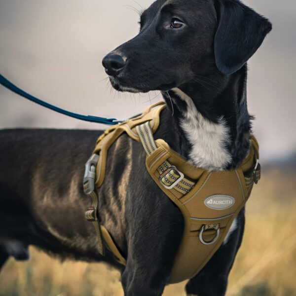 Auroth Tactical Anti Pull Dog Harness Adjustable Breathable Pet Vest Harness for Small Medium Large Dog Reflective Dog Harness Military Materials Size M, Green Brown - Image 8