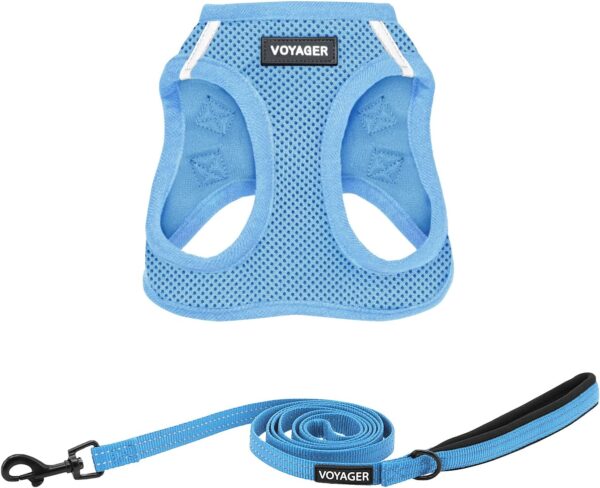 Best Pet Supplies Voyager Step-in Air All Weather Mesh Harness and Reflective Dog 5 ft Leash Combo with Neoprene Handle, for Small, Medium and Large Breed Puppies by - Leash Harness (Baby Blue), XS - Image 2