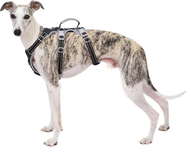 Huntboo Escape Proof Dog Harness, No Pull Reflective Harness with Lift Handle, Adjustable Pet Vest with Front and Back Leash Clips for Small Medium Large Dogs Walking Hiking Training (Black,L) - Image 2