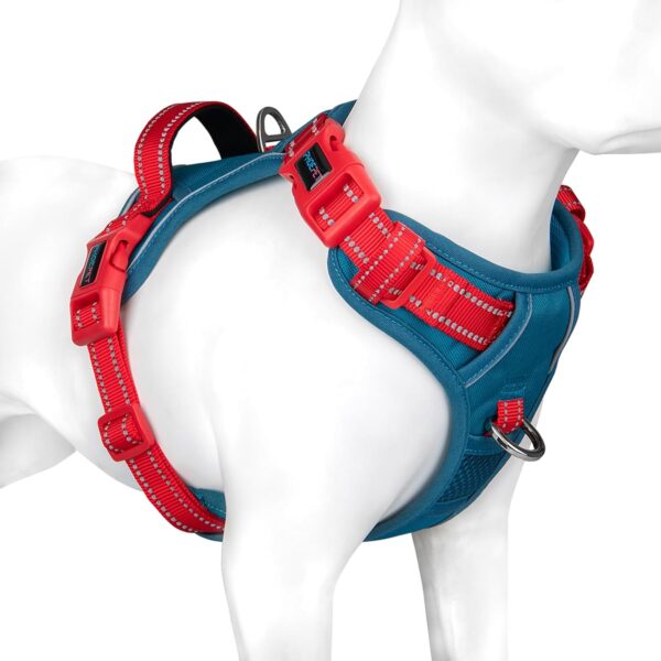 PHOEPET No Pull Dog Harness, Unique Colors Reflective Adjustable Dog Vest, with Soft Training Handle Metal Clips for Small Medium Large Dogs (Teal Base & Red Straps,L) - Image 2