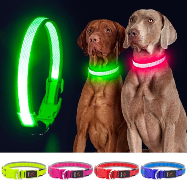 YFbrite Light up Dog Collar, Rechargeable LED Dog Collar, Flashing Dog Collar, Adjustable Reflective Dog Collar Safety Glowing at night (Green, Medium) - Image 2