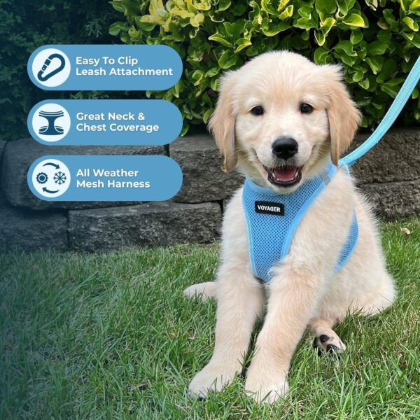 Best Pet Supplies Voyager Step-in Air All Weather Mesh Harness and Reflective Dog 5 ft Leash Combo with Neoprene Handle, for Small, Medium and Large Breed Puppies by - Leash Harness (Baby Blue), XS - Image 6
