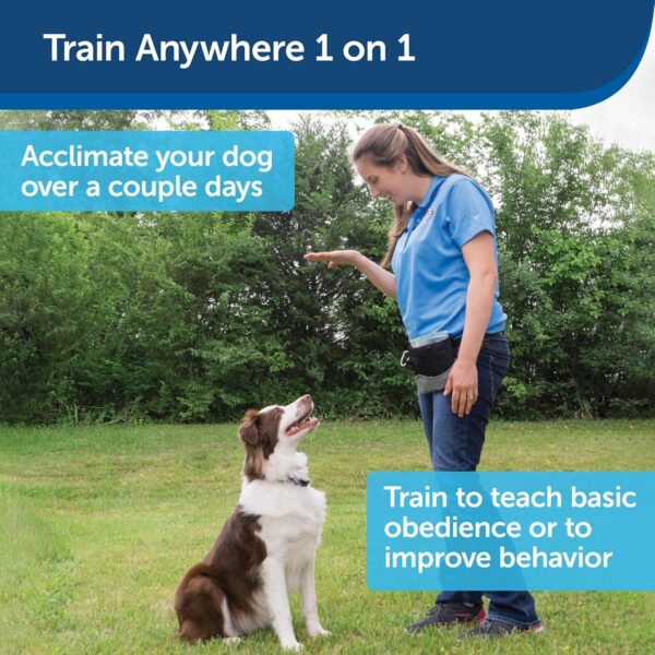 PetSafe Collarless Remote Trainer - Handheld Ultrasonic & Tone Dog Training - Correct Behaviour such as Barking, Digging, Jumping - Similar to an Electronic Dog Whistle, No Collar Required - Image 5