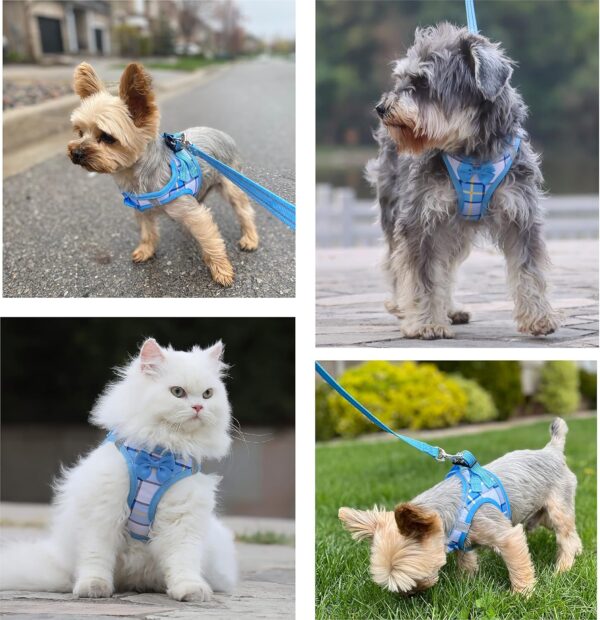 JdotMIN Plaid Dog Harness and Leash Set, Extra-Small/Small to Medium Dog and Cat Vest Harness No Pull, Escape Proof, For Walking Puppy and Kitten, For Travel and Car (Blue, XXS) - Image 7