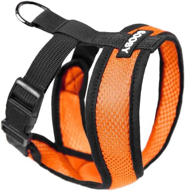 GOOBY Comfort X Head in Harness - Orange, Medium - No Pull Small Dog Harness Patented Choke-Free X Frame - On The Go Dog Harness for Medium Dogs No Pull or Small Dogs for Indoor and Outdoor Use - Image 2